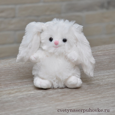 Милый зайчик