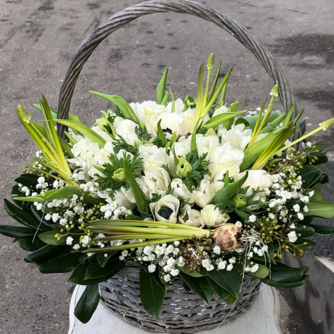 Подснежники