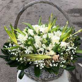 Подснежники